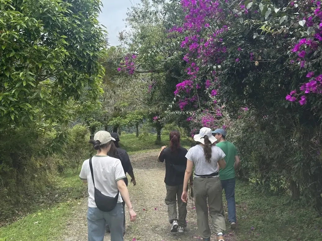 Costa Rica Impressions 2.1