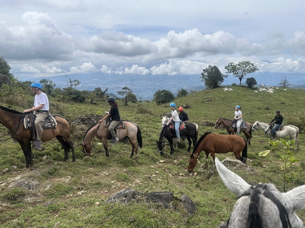 Costa Rica Impressions 4