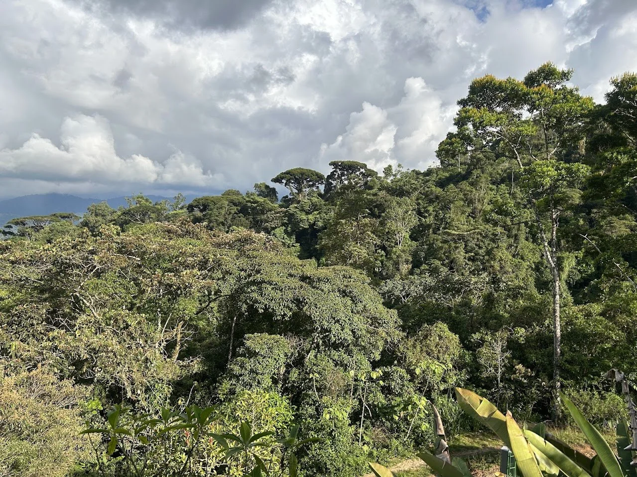 Costa Rica Impressions 5